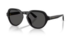 Dolce&Gabbana DG 4567 - 501/87 BLACK dark grey