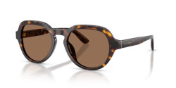 Dolce&Gabbana DG 4567 - 502/73 HAVANA dark brown