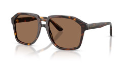 Dolce&Gabbana DG 4568 - 502/73 HAVANA dark brown