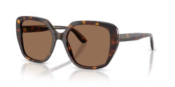 Dolce&Gabbana DG 4569 - 502/73 HAVANA dark brown