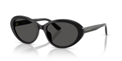 Dolce&Gabbana DG 4570 - 501/87 BLACK dark grey