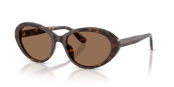 Dolce&Gabbana DG 4570 - 502/73 HAVANA dark brown