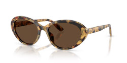 Dolce&Gabbana DG 4570 - 512/73 YELLOW HAVANA dark brown