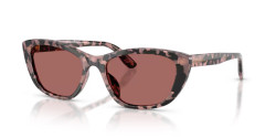 Dolce&Gabbana DG 4571 - 347669 PINK HAVANA dark violet