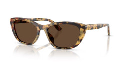Dolce&Gabbana DG 4571 - 512/73 YELLOW HAVANA dark brown
