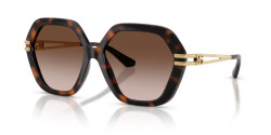 Dolce&Gabbana DG 6210 - 502/13 HAVANA gradient brown