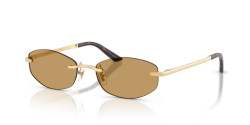 Versace VE 2308D - 152373 GOLD VERSACE brown