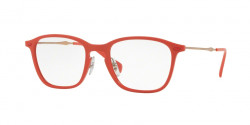 Ray-Ban RB 8955 5758  LIGHT RED GRAPHENE