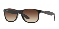 Ray-Ban RB 4202 ANDY 607313 MATTE BROWN brown gradient
