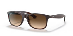 Ray-Ban RB 4202 ANDY - 607313 BROWN brown gradient